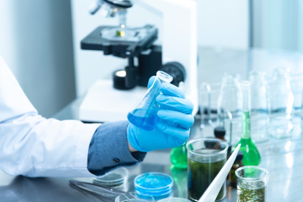 LICENCE SCIENCES DE LA VIE – YAŞAM BİLİMLERİ LİSANSI